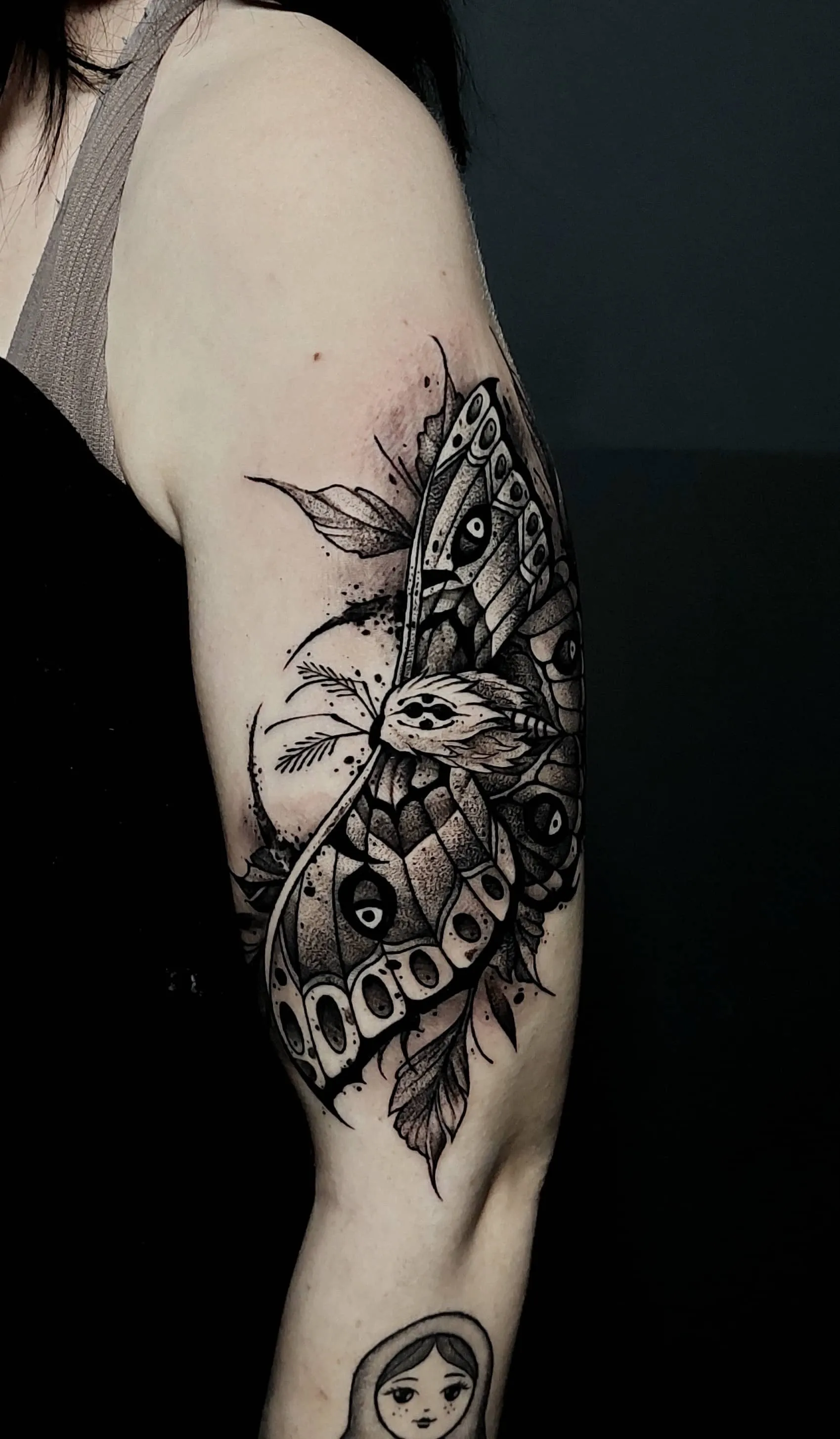 moth