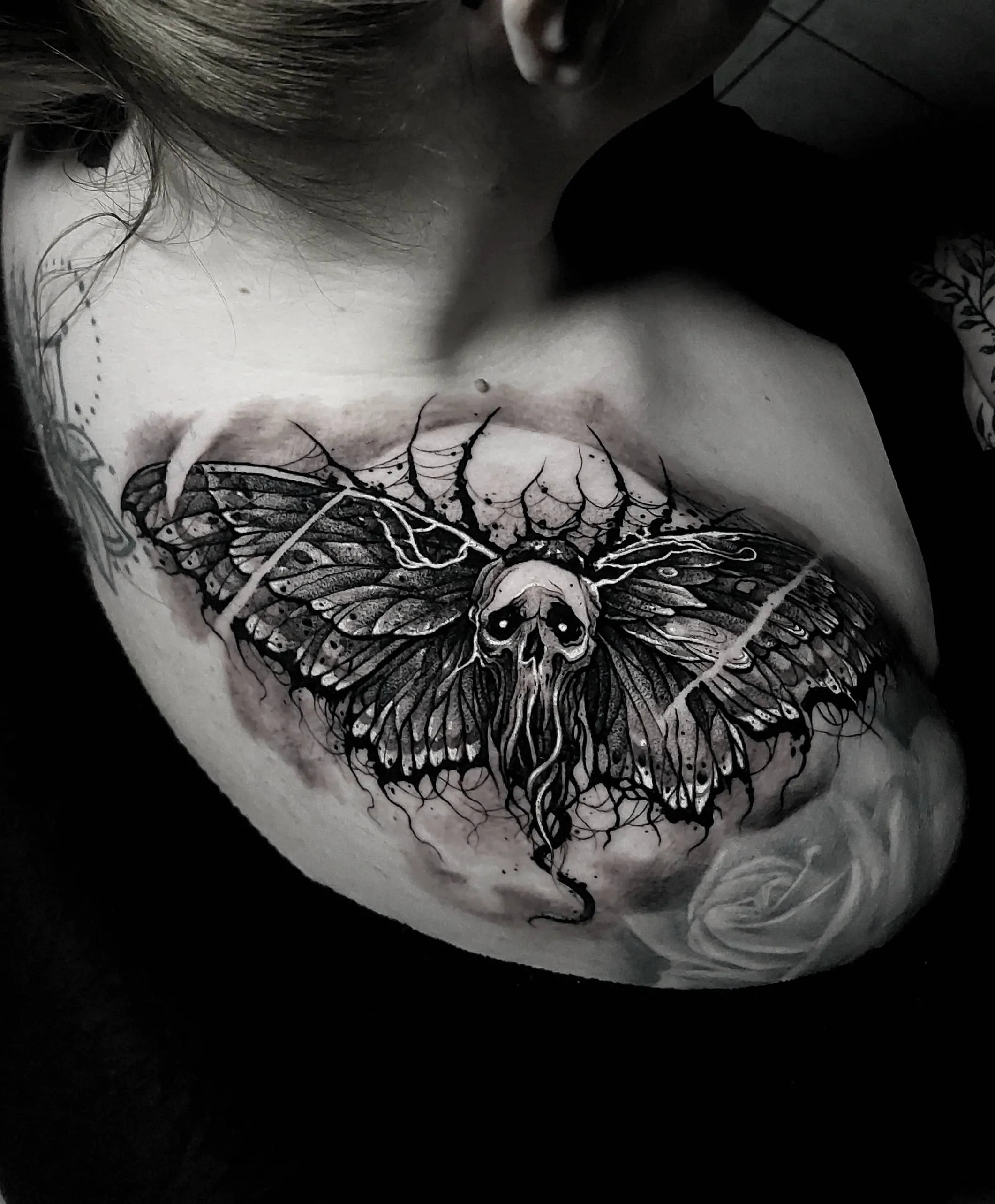 skull moth
